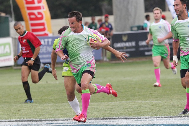 詹姆斯支持 詹姆斯支持